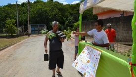 Evento Meu Bairro Ser Um Jardim